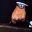 60_2022-02-09-14.gif